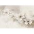 Guido Maria Kretschmer photo wallpaper flowers cream grey 4