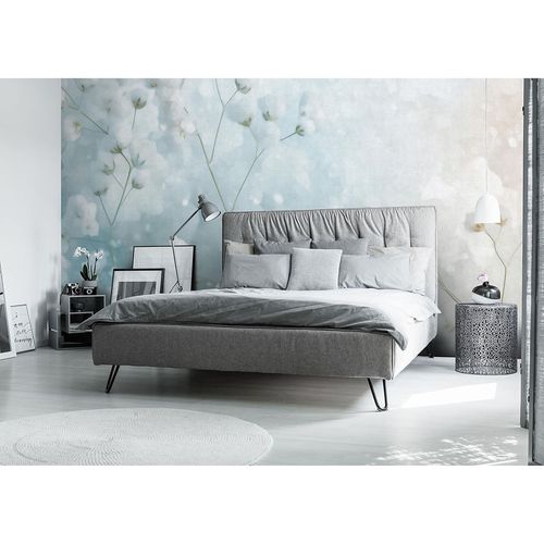 Guido Maria Kretschmer Photo Wallpaper Flowers Blue Cream