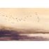 Guido Maria Kretschmer Photo Wallpaper Sky Beige Brown 4