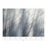 Guido Maria Kretschmer photo wallpaper forest grey 2