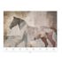 Guido Maria Kretschmer Photo Wallpaper Horse Brown Grey 2