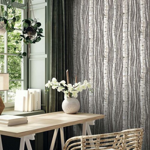 Non-woven wallpaper trees birch forest brown cream 35394