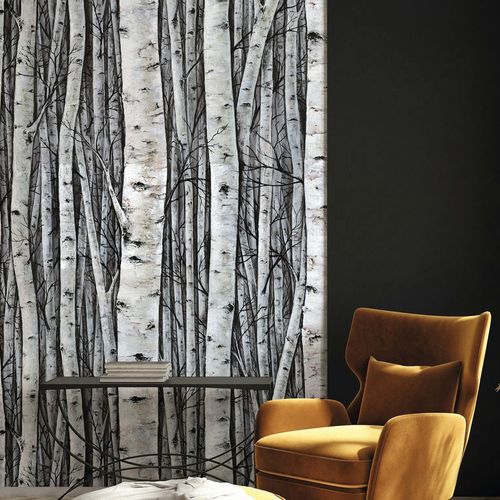 Fototapete Bäume Birke Wald Motiv Grau Creme 35395 Raum