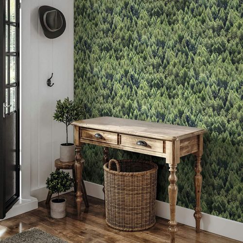 Non-woven wallpaper fir trees forest nature green 45730
