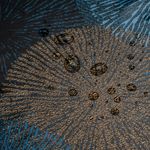 feuerwerk-bunt4.jpg