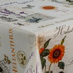 lavendel-sonnenblumen-provence3.jpg