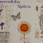 lavendel-sonnenblumen-provence4.jpg