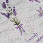 Blumen-Lavendel-Lila5.jpeg