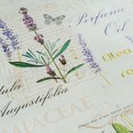 Olive-Lavendel-Sonnenblume-Sommer5.jpeg