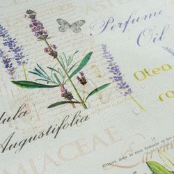 Olive-Lavendel-Sonnenblume-Sommer5.jpeg Olive-Lavendel-Sonnenblume-Sommer5.jpeg