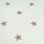 Weihnachten-Sterne-Gold-Beige5.jpg