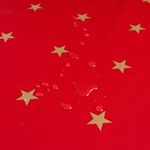Weihnachten-Sterne-Gold-Rot5.jpg
