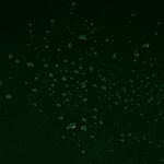Moosgruen-Metallic5.jpg