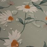 Gaensebluemchen-Weiss5.jpeg