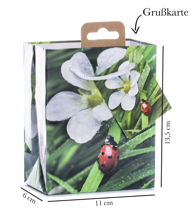 MiniBlumen1.jpg MiniBlumen1.jpg