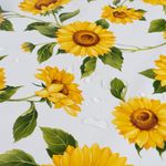 Sonnenblumen-Sonnenfreude-Gelb-Weiss5.jpg