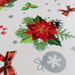 Weihnachten-Stern-Mistelzweig5.jpg