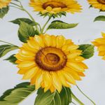 Sonnenblumen-Sonnenfreude-Gelb-Weiss5.jpg