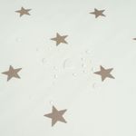 Weihnachten-Sterne-Gold-Beige5.jpg