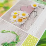 Blumen-Narzissen-Tulpen-Margeriten5.jpg