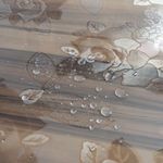 Folie-Transparent-Gebluemt5.jpg