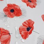 Mohnblume-Schmetterling-Rot5.jpeg