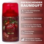 Zimt-Bratapfel3.jpg