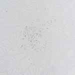 Ginkgo-Weiss-Transparent5.jpg