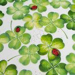Gluecksklee-Marienkaefer-Transparent6.jpg