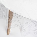 Transparent-Weiss-Bluete6.jpg