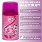 Magnolie-und-Kirschblu--te2.jpg