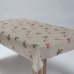 Rotkehlchen-Winter-Beige1.jpg