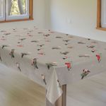 Rotkehlchen-Winter-Beige3.jpg