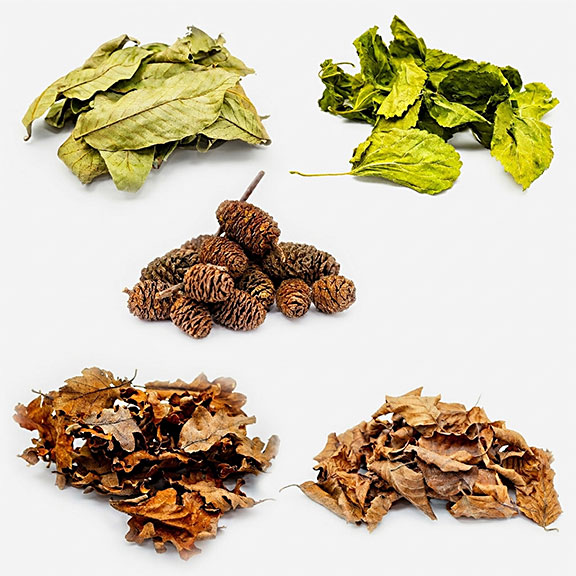 Natur Produkte