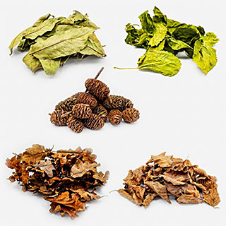 Natur Produkte