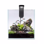 Collar AquaLighter Nano-Set - Nano Aquarium 10l Weissglas mit LED-Leuchte - Filter - Abdeckscheibe und Unterlegmatte - Einsatzbeispiel (Produktbild)