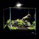 Collar AquaLighter Nano-Set - Nano Aquarium 10l Weissglas mit LED-Leuchte - Filter - Abdeckscheibe und Unterlegmatte - Einsatzbeispiel (Produktbild)