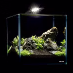 Collar AquaLighter Nano-Set - Nano Aquarium 10l Weissglas mit LED-Leuchte - Filter - Abdeckscheibe und Unterlegmatte - Einsatzbeispiel (Produktbild)