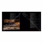 Banjos Dorads and Woodcats - Aspredinidae Doradidae and Auchenipteridae Catfishes (Produktbild)