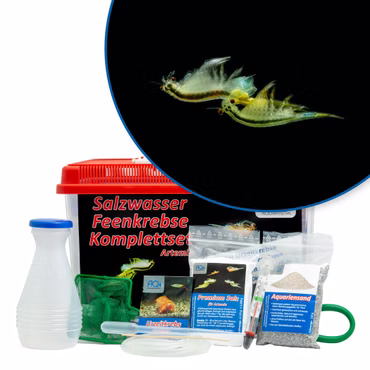 Artemia-Premium Set mit 6 Liter Becken, Zubehör, Futter, Artemia 3 verschiedene Arten Artemia-Premium Set mit 6 Liter Becken, Zubehör, Futter, Artemia 3 verschiedene Arten (Produktbild)