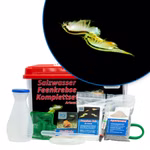 Artemia-Premium Set mit 6 Liter Becken, Zubehör und Futter, Artemia cf. persimilis (Produktbild)