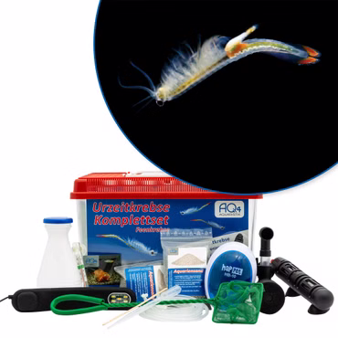 Premium Biberschwanz Feenkrebse Komplettset mit LED-Beleuchtung - Filter und Heizung - Thamnocephalus platyurus - Premium Biberschwanz Feenkrebse Komplettset mit LED-Beleuchtung - Filter und Heizung - Thamnocephalus platyurus - (Produktbild)