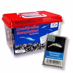 Premium Biberschwanz Feenkrebse Komplettset mit LED-Beleuchtung - Filter und Heizung - Thamnocephalus platyurus (Produktbild)