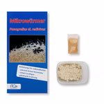 Mikrowürmer - Panagrellus cf.redivivus - Zuchtansatz mit Anleitung - Aufzuchtfutter - Fischfutter (Produktbild)