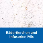Rädertierchen und Infusorien Mix Zooplankton lebend in 150ml Kulturflüssigkeit Aufzuchtfutter für Jungfische und Urzeitkrebse (Produktbild)