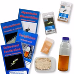 Lebendfutter für Aquarium Fische  - Artemia franciscana - Artemiaeier - Essigälchen Turbatrix aceti - Mikrowürmer Panagrellus cf.redivivus - Wasserflöhe Moina macrocopa mit Anleitungen (Produktbild)