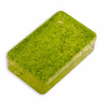 Kleine Wasserlinse - Lemna minor - Entengrütze - Schwimmpflanze (Produktbild)