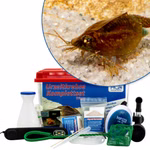 Premium Triops cancriformis Komplettset - mit Zubehör - LED-Beleuchtung und Filterung (Produktbild)