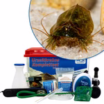 Premium Triops cancriformis simplex Komplettset - mit LED-Beleuchtung und Filter (Produktbild)