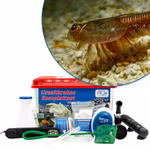 Premium Triops granarius Komplettset - mit LED-Beleuchtung - Filter und Heizung (Produktbild)